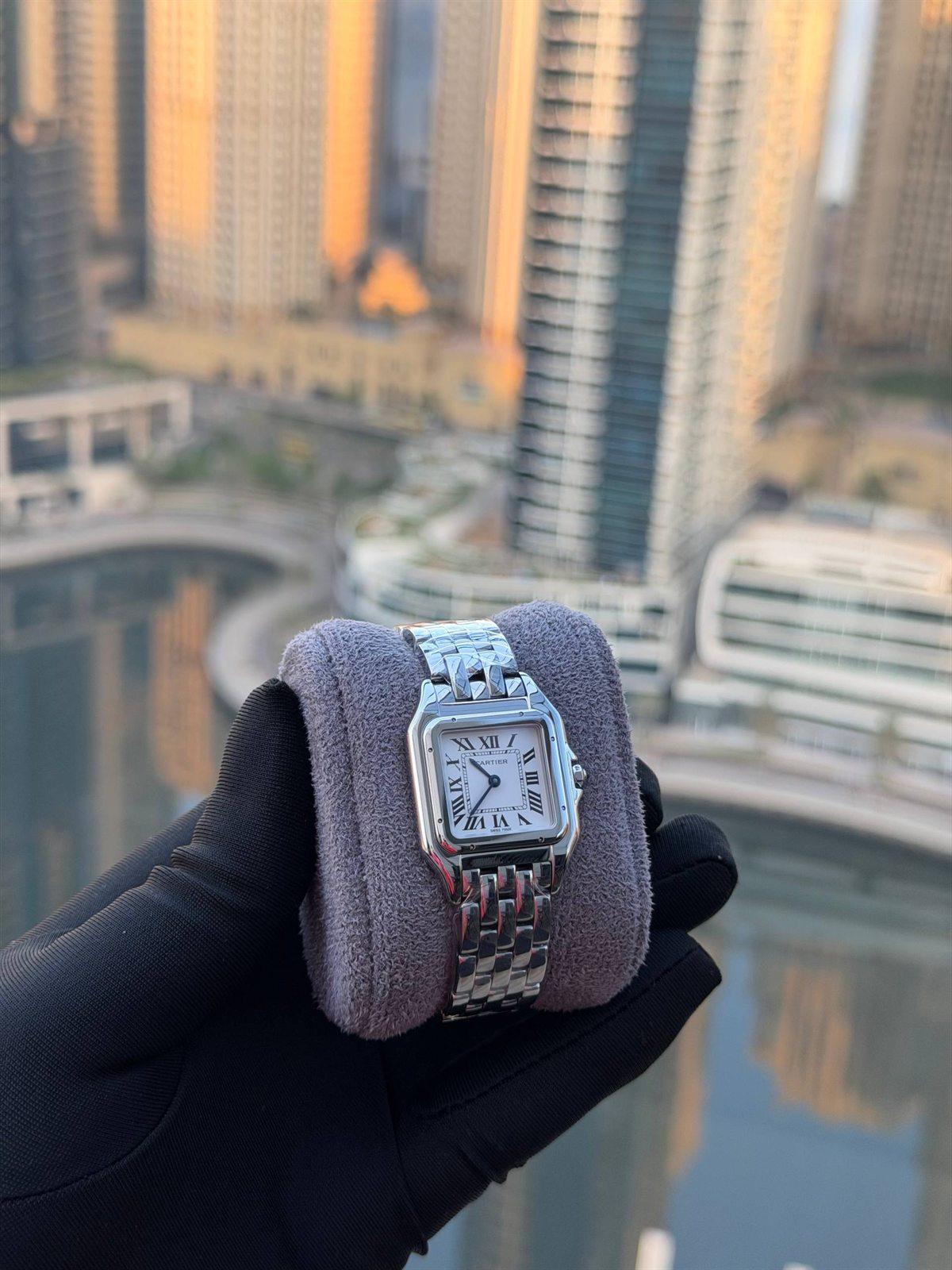 Cartier Panthère in Steel